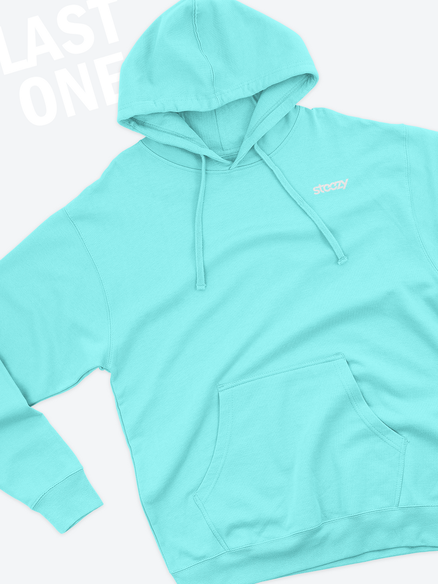 Mint Steezy Logo Left Chest Hoodie S