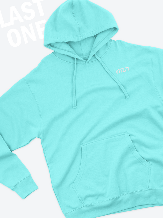 Mint Steezy Text Left Chest Hoodie (S) - STEEZY Clothing