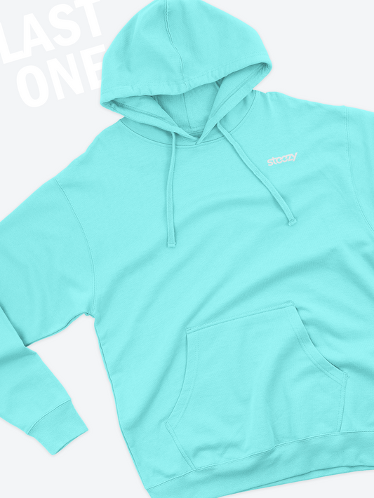 STEEZY - Mint Steezy Logo Left Chest Hoodie (S) - Clothing