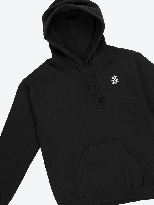 STZY Star Embroidered Hoodie - STEEZY Clothing