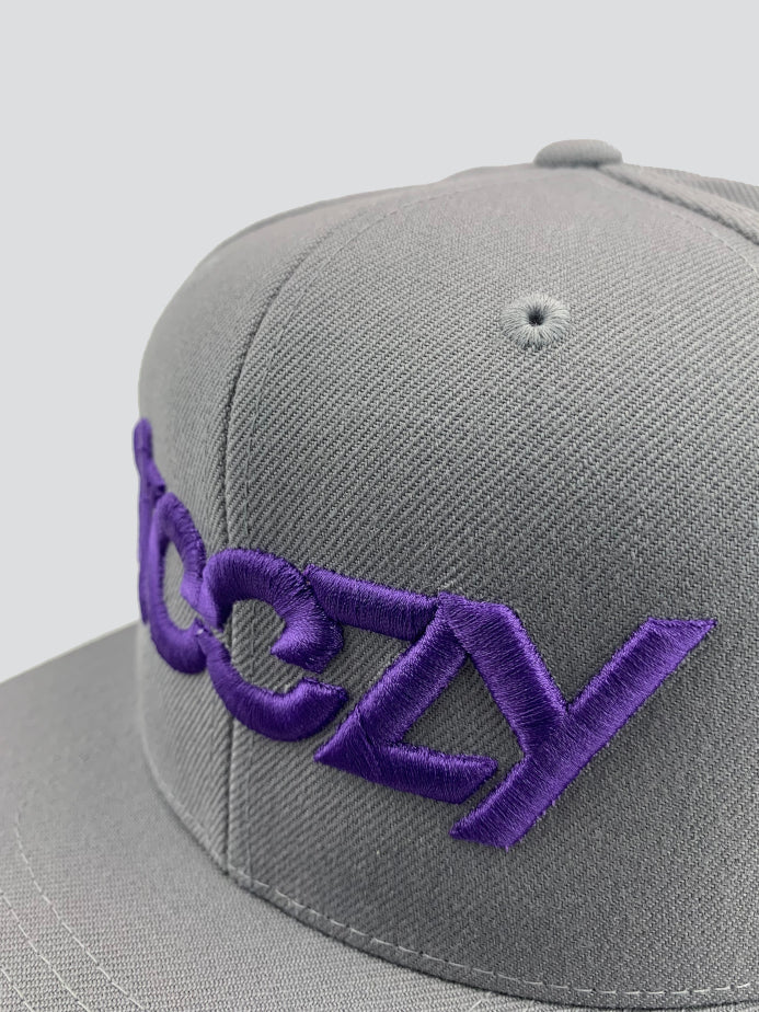 Steezy Logo Snapback Hat (Purple/Gray) - STEEZY Clothing