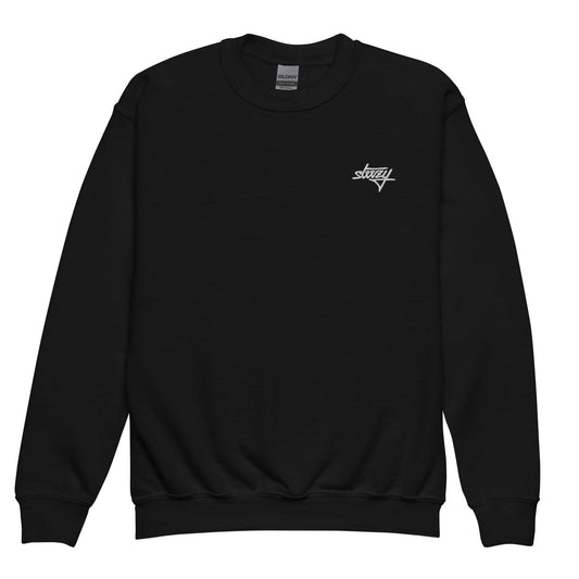 Steezy Script Embroidered Youth Sweatshirt - STEEZY Clothing