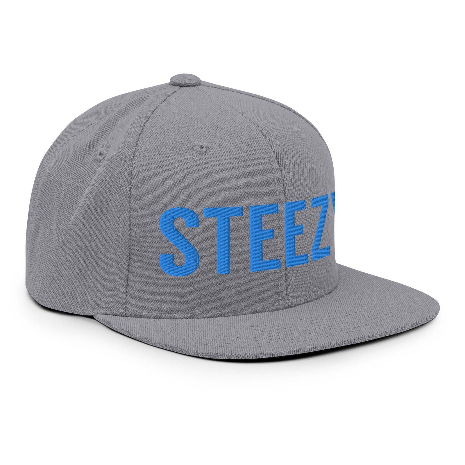 Straight Steezy Snapback Hat (Teal/Gray) - STEEZY Clothing