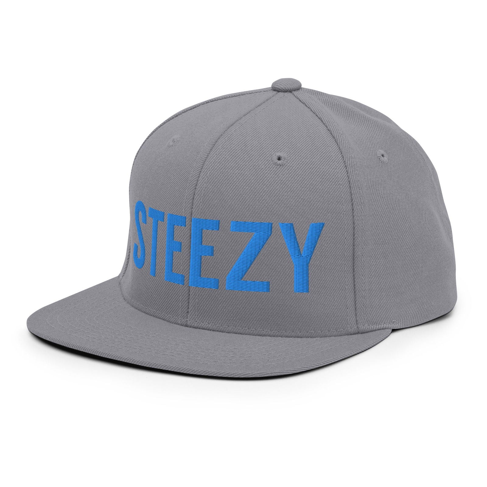 Straight Steezy Snapback Hat (Teal/Gray) - STEEZY Clothing